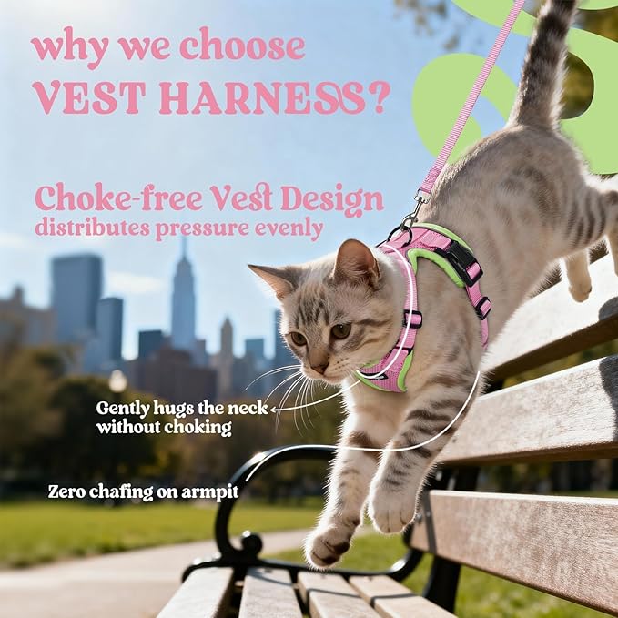 rabbitgoo Cat Harness and Leash Set, Escape Proof Kitten Harness for Safe Outdoor Walks, Soft Breathable Adjustable Vest with Reflective Strips for Kittens and Small Cats, Pink & Light Green, XS
