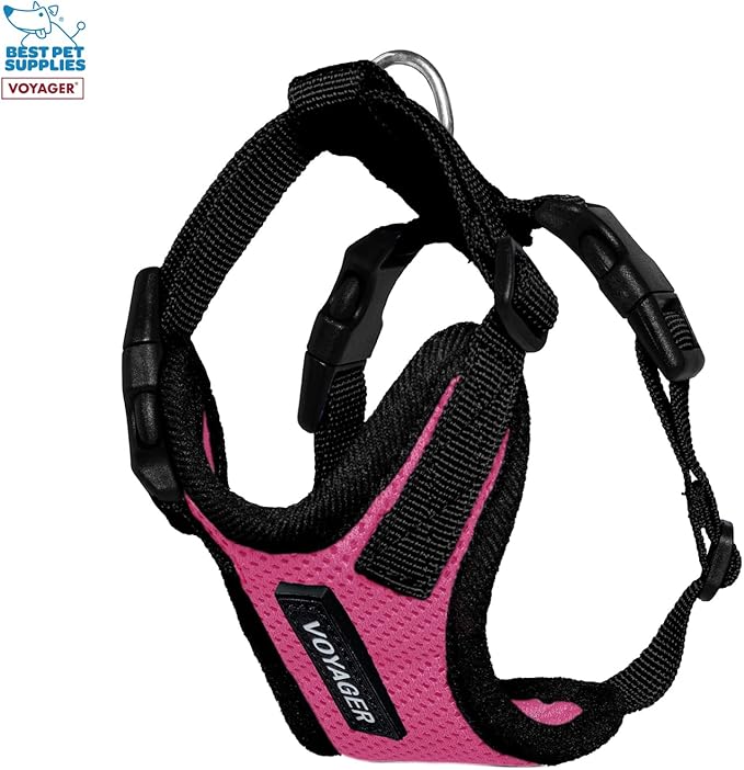 Best Pet Supplies Voyager Step-in Lock Pet Harness w Reflective Pet Leash Combo Set with Neoprene Handle 5ft - Supports Small, Medium and Large Breed Puppies/Cats - Fuchsia/Black Trim, XXXS