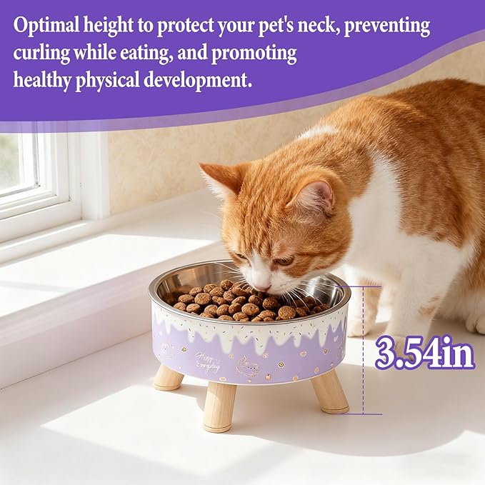 Raised Cat Food Bowls,Elevated Kitten Bowls for Indoor Cats Ergonomic Cat Food Water Bowls Purple