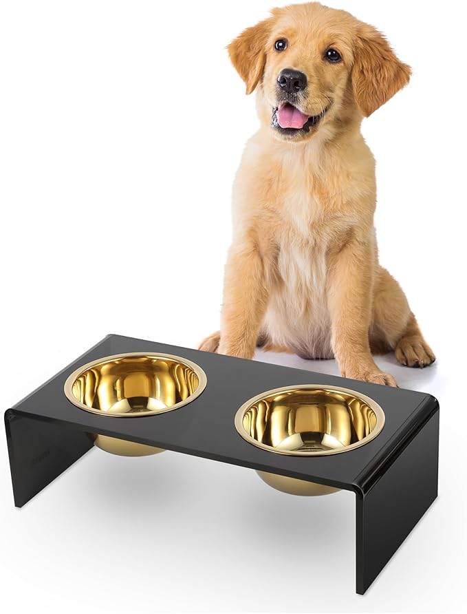 THE LICKER Store DBL2000B Keaton 5" Small/Medium Modern Lucite Rectangular Elevated Pet Feeder with 20oz 2-Stainless Steel Bowls, Black/Gold