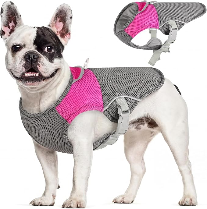 AOFITEE Dog Cooling Vest Small Dog, Lightweight Cooling Jacket for Dogs, Breathable Dogs Cooler Shirt with Harness D-Ring, Pet Sun Shirt UV Protection Ice Vest for Small Medium and Large Pet, S