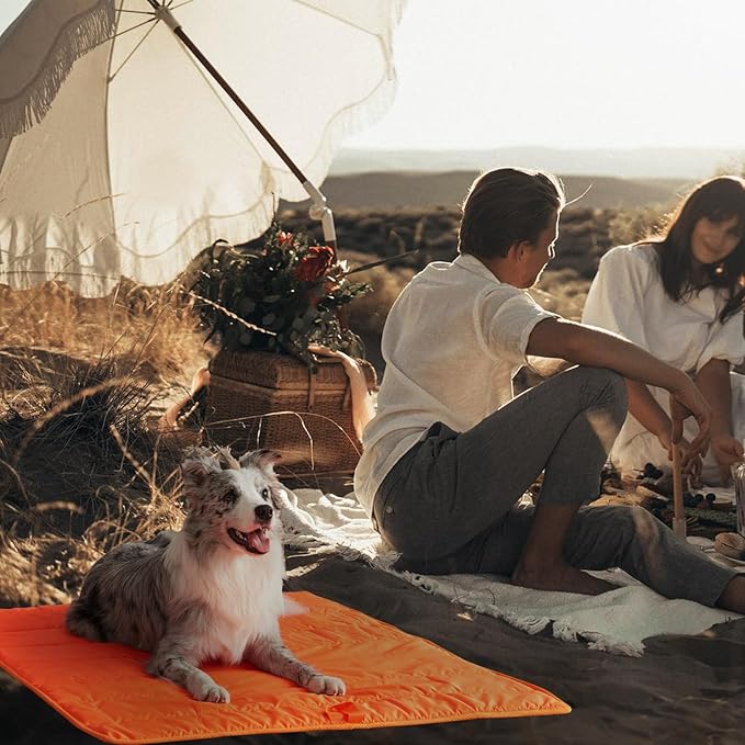 BDEUS Travel Dog Bed, Outdooor Camping Pet Mat, Portable Place Mat with Handle, Easy to Clean, Waterproof & Portable and Odor Resistant Pet Cooling Pad (X-Large 51" x 35", Orange)
