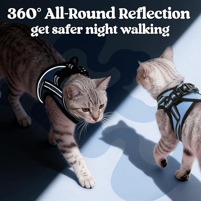 rabbitgoo Cat Harness and Leash, Step-in Escape Proof Kitten Harness Set, Soft Comfortable Cat Vest, Easy to Wear and Adjust, Reflective for Safe Outdoor Walking, Light Blue, Small