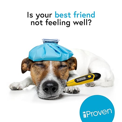 iProven Dog & Cat Thermometer for Accurate Fever Detection, Comfortable Flexible Tip, Waterproof Pet Thermometer, Fast Readings in 20 sec, Whelping and Veterinary Supply, DTK-117Y