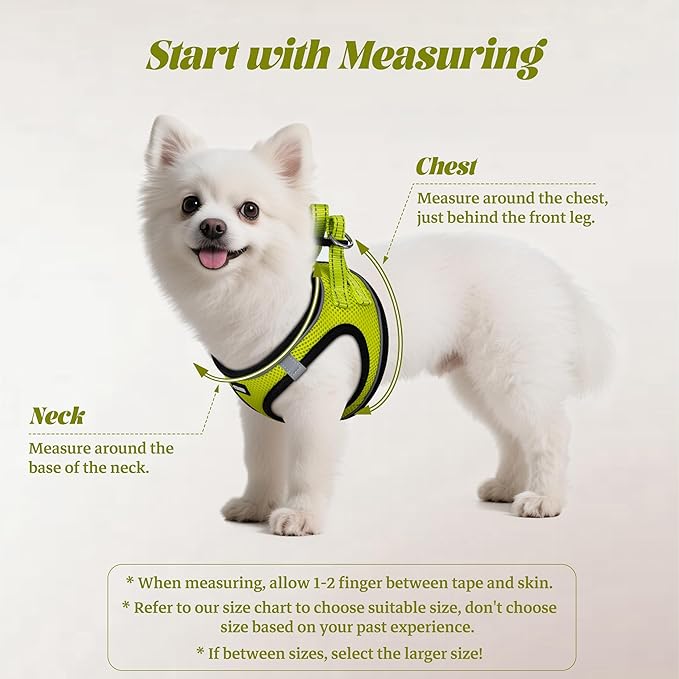 YIMEIS Dog Harness and Leash Set, No Pull Soft Mesh Pet Harness, Reflective Adjustable Puppy Vest for Small Medium Large Dogs, Cats (Fluorescent Yellow, Small (Pack of 1)