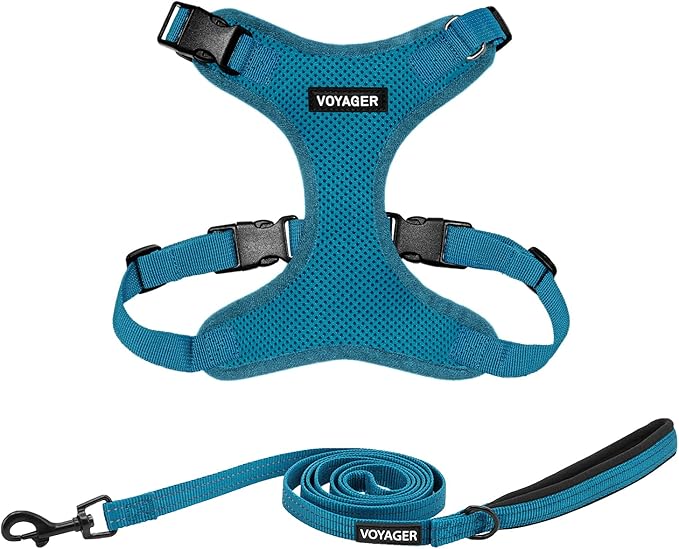 Best Pet Supplies Voyager Step-in Lock Pet Harness w Reflective Pet Leash Combo Set with Neoprene Handle 5ft - Supports Small, Medium and Large Breed Puppies/Cats - Turquoise Set, S