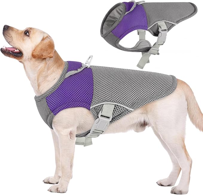 AOFITEE Dog Cooling Vest Large, Cooling Jacket for Dogs, Breathable Cooler Dog Shirt with Harness D-Ring, Lightweight Dogs Cooler Jackets Pet Ice Vest for Summer Hot Weather, Purple XL