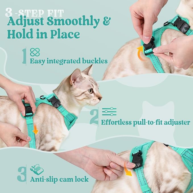 rabbitgoo Cat Harness and Leash, Escape Proof Vest with 3 Adjustable Buckles, Soft Comfortable Kitten Harness, Easy to Wear, Reflective for Safe Outdoor Walking, Medium, Green