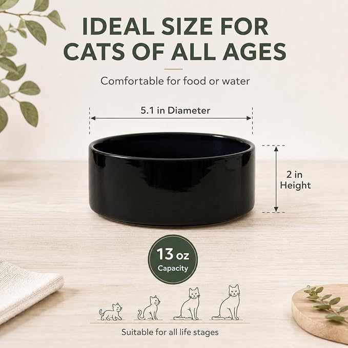 Havniva Cat Bowls Water Bowl Set of Two, 5.1” Ceramic Cat Food and Water Bowl Whisker Friendly Pet Food Bowls for Indoor Cats, Wide Cat Water Dish Prevent Whisker Fatigue Non Slip Cat Feeder