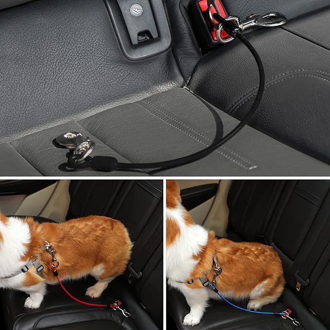 Dog Seat Belt Harness for Car,2pcs Dog Seatbelt of Coated Wire Leash Safety Restraint,No Chew Tether Cable Vehicle Dogs Accessories,Double Clips & Latch (2 Pack Red+Blue, 24 inch/60 CM)