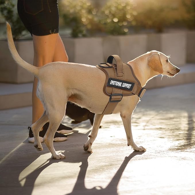voopet Emotional Support Dog Harness, Professional Service Dog Vest Harness for Small Medium Large Dogs, Reflective Breathable and Adjustable No Pull/Choke ESA Essential Harness