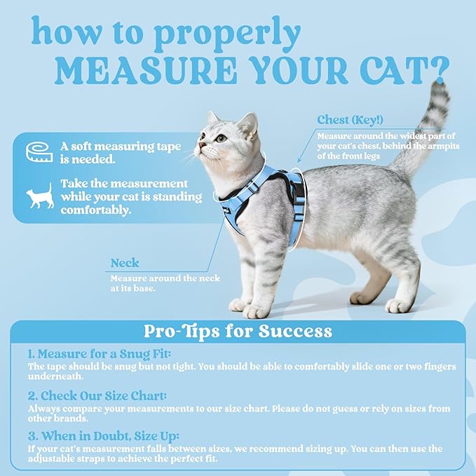 rabbitgoo Cat Harness and Leash Set, Escape Proof Kitten Harness for Safe Outdoor Walks, Soft Breathable Adjustable Vest with Reflective Strips for Kittens and Extra Small Cats, Light Blue, XXS
