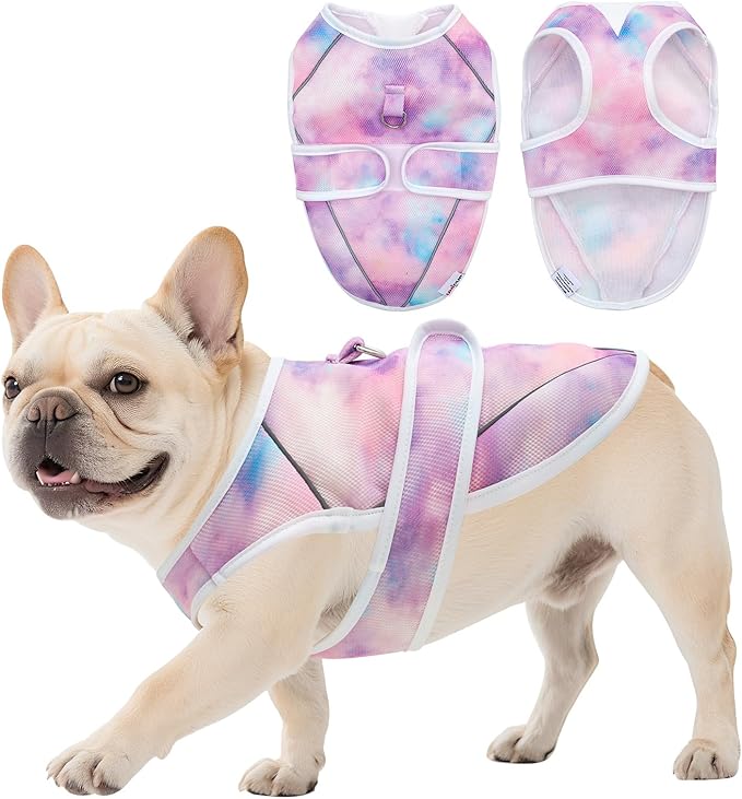 Dog Cooling Vest – Lightweight Pet Cooling Shirt 3D Breathable Mesh, Reflective Strips & UV Protection for Walking, Hiking, Park – Adjustable Fit Dog Cooler Jacket with D-Ring U-DCV03S