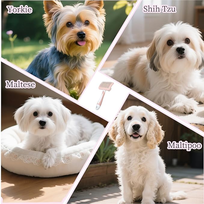 Self Cleaning Slicker Dog Brush for Small Long-Haired Breeds, One-Click Hair Removal, Puppy Essentials, Fit Yorkie, Shih Tzu, Maltese, Maltipoo, Pomeranian, Pet Grooming Tool (Pink)