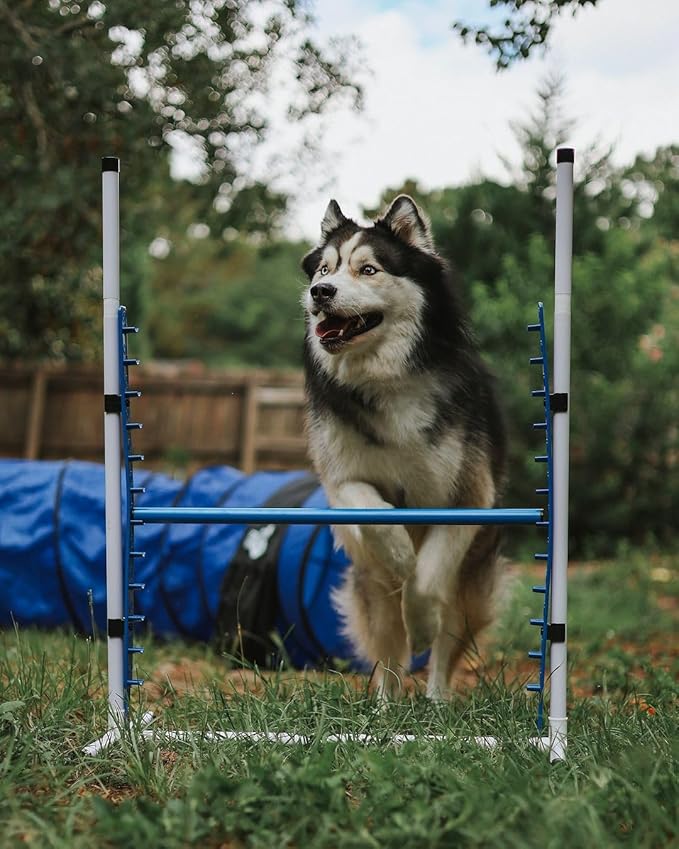 Better Sporting Dogs Elite Agility Set for Dogs w/Safety-Focused Features | 7Pc Agility Kit | (2) Bar Jumps w/Cup Strips | Breakaway Tire Jump | 6 Weave Poles | (2) 10’ Tunnel & Sandbags | Pause Box