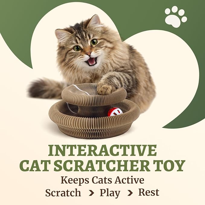 2 Pack Cat Scratcher Toy with Bells, Magic Organ Foldable Cat Scratching Board for Indoor Adult Cats Reduce Boredom, Interactive Toys for Kitten Exercise Anxiety Relief (Brown, 2 Pack)
