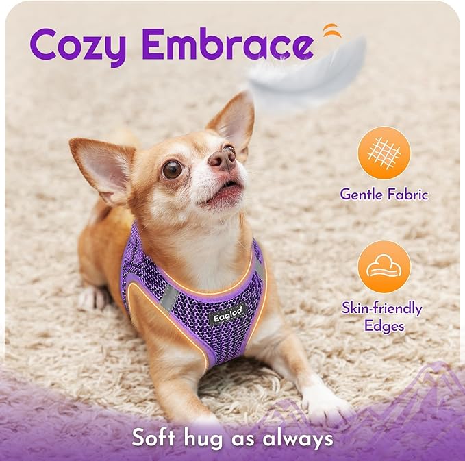 Eagloo Small Dog Harness and Leash Set, Step in Puppy Vest with Breathable Soft Mesh, Walking Reflective Pet Harness for Small Dogs, Purple, M
