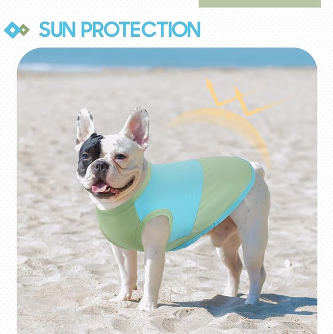 BRKURLEG Dog Cooling Vest, UPF 50+ Sun Protection Dog Cooling Shirts, Breathable Quick Dry Vest for Small to Large Dogs & Cats, Lightweight Summer Pet Clothing for Hiking, Beach, Bluegreen, XXL