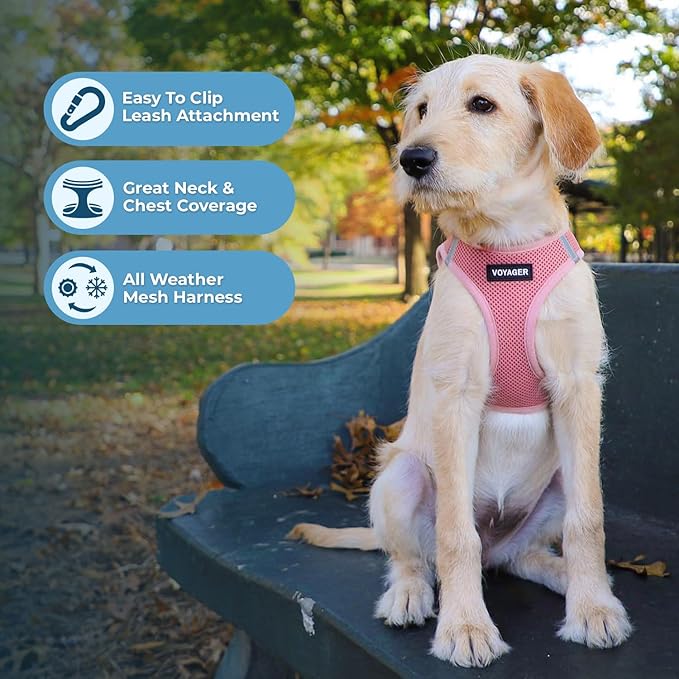 Best Pet Supplies Voyager Step-in Air All Weather Mesh Harness and Reflective Dog 5ft Leash Combo with Neoprene Handle, for Small, Medium and Large Breed Puppies - Set (Pink), XX-Small