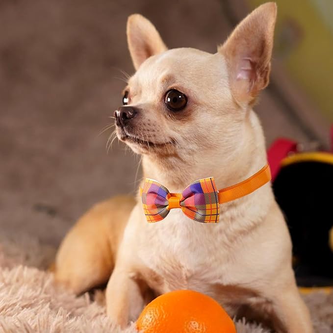 Segarty Dog Bow Ties for Small Dogs, 80 Adjustable Small Dog Bowties Large Puppy Bowtie Cats Neck Bows Pet Collar Bulk Assorted Grooming Accessories Birthday Wedding Party Holiday Festival
