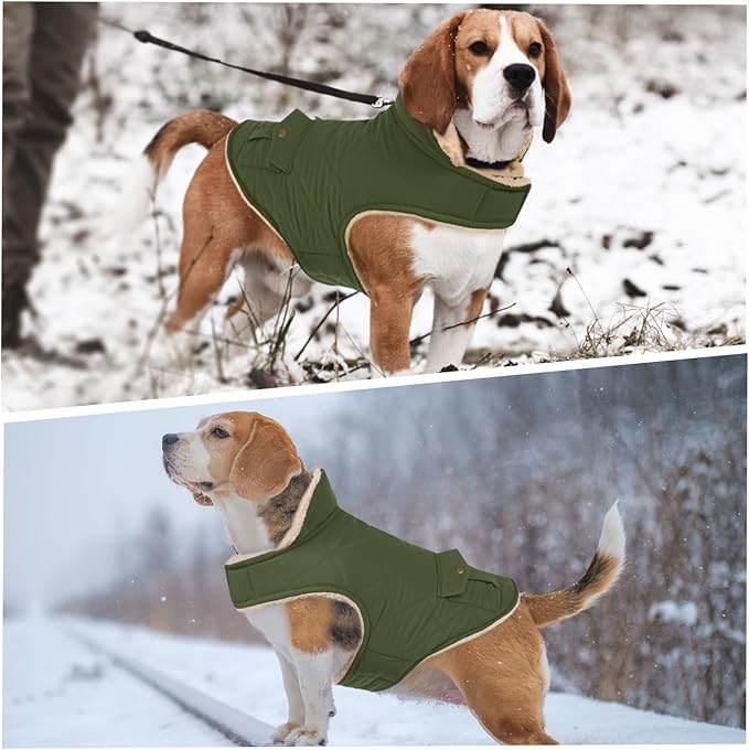ASENKU Warm Dog Winter Coat, Waterproof Dog Coat for Cold Weather, Fleece Dogs Jacket with Ultra Thick Plush Lining Leash Hole Storage Pockets for Large Dogs (Green, X-Large)