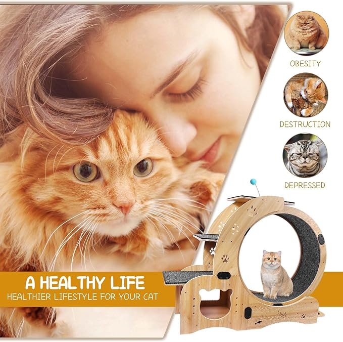 Cat Wheel, 4-in-1 Cat Exercise Wheel, Upgraded Cat Treadmill Wheel Exerciser for Indoor Cats, Large Cat Treadmill Running Wheel with Silent Wheel, Cat Walking Wheel Cat Furniture Cat Toys
