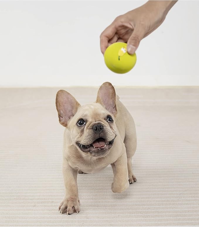 Squeaky Dog Ball, Latex Cute Dog Toys for Puppy and Small Dogs Soft Rubber Fetch Play Catch Ball Bounce and Funny Squeak Pet Toys