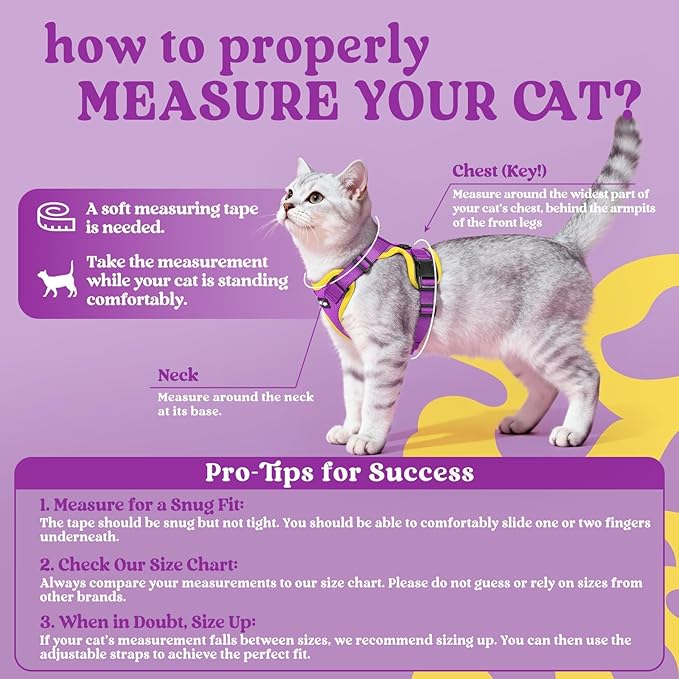 rabbitgoo Cat Harness and Leash Set, Escape Proof Kitten Harness for Safe Outdoor Walks, Soft Breathable Adjustable Vest with Reflective Strips for Kittens and Extra Small Cats, Purple & Yellow, XXS