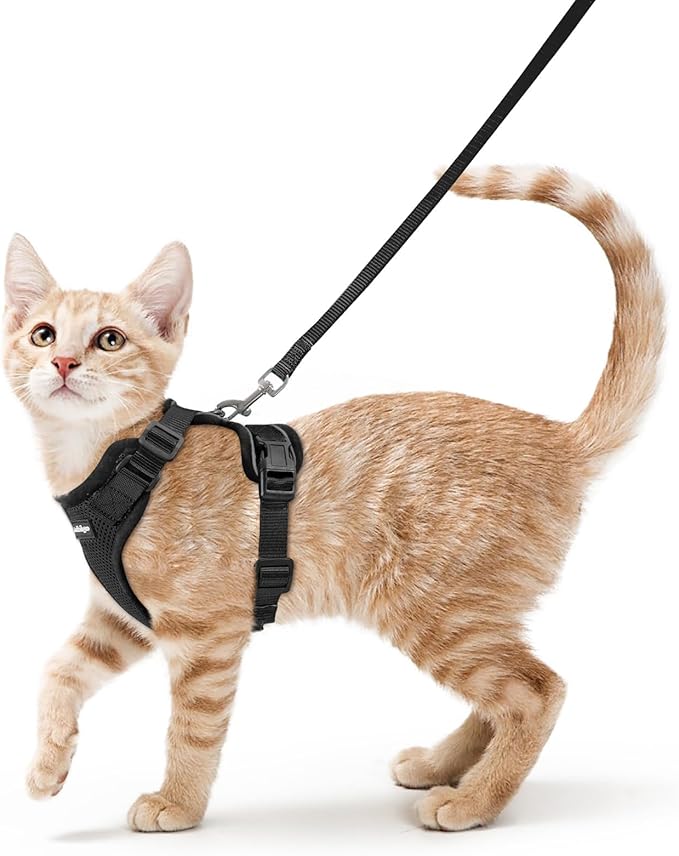 rabbitgoo Cat Harness and Leash Set, Escape Proof Vest Harness for Safe Outdoor Walks, Soft Breathable Adjustable Vest with Reflective Strips for Small and Average Cats, Black, S