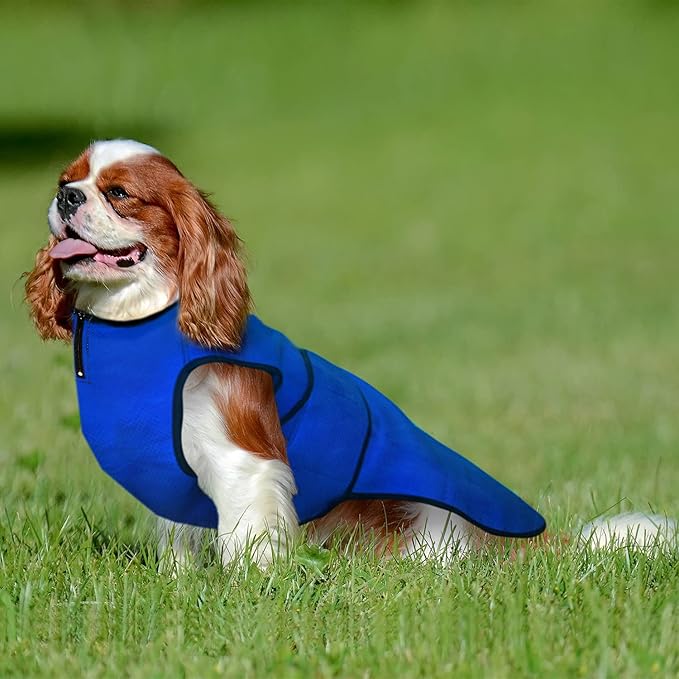 Dog Cooling Vest – Lightweight Jacket for Dogs with Zip Neck & Velcro – Easy On/Off Cooling Coat for Walks, Travel & Outdoors by Lautus Pets - M