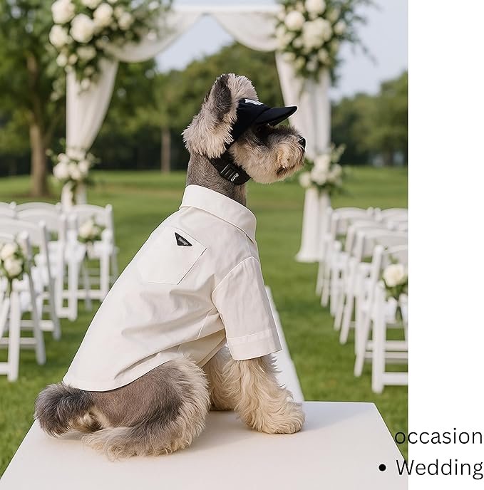 Luxury Pet Dress Shirt for Dogs & Cats – White Designer Button-Up Outfit, Formal Pet Clothes for Wedding, Party, Photoshoot, Puppy & Kitten Fashion Apparel (X-Large 15.5–18.7 lbs)