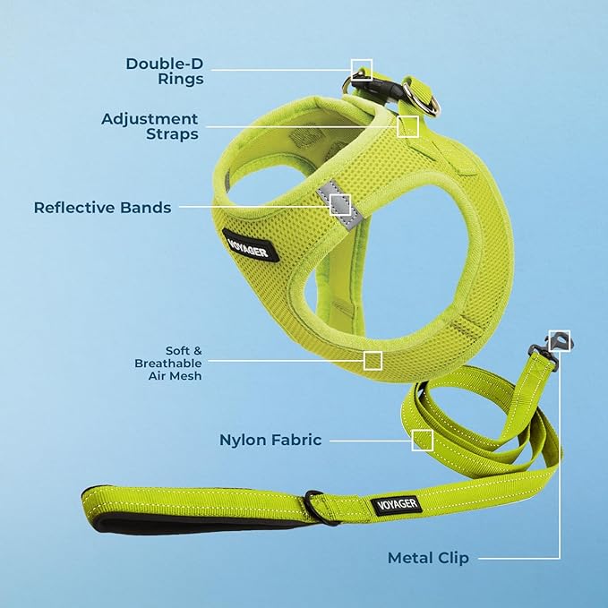 Best Pet Supplies Voyager Step-in Air All Weather Mesh Harness and Reflective Dog 5ft Leash Combo with Neoprene Handle, for Small, Medium and Large Breed Puppies - Set (Lime Green), XXX-Small