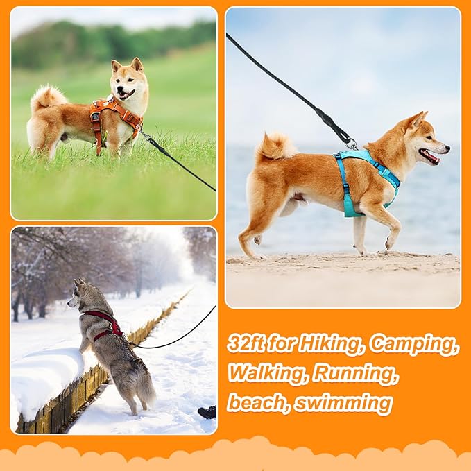 Vivifying Floating Long Dog Leash, 32ft Dog Training Leash for Outside and Yard, Durable Long Line Lead with Soft Handle for Camping, Hiking, Swimming, Beach and Lake (Black)