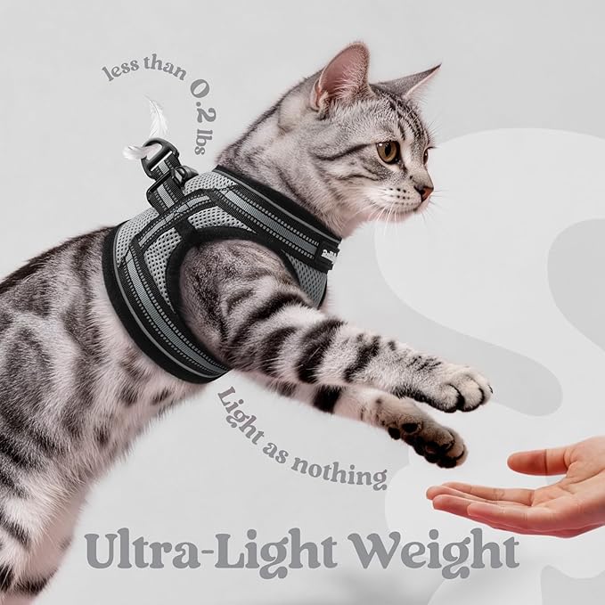 rabbitgoo Cat Harness and Leash, Step-in Escape Proof Kitten Harness Set, Soft Comfortable Cat Vest, Easy to Wear and Adjust, Reflective for Safe Outdoor Walking, Grey, Medium