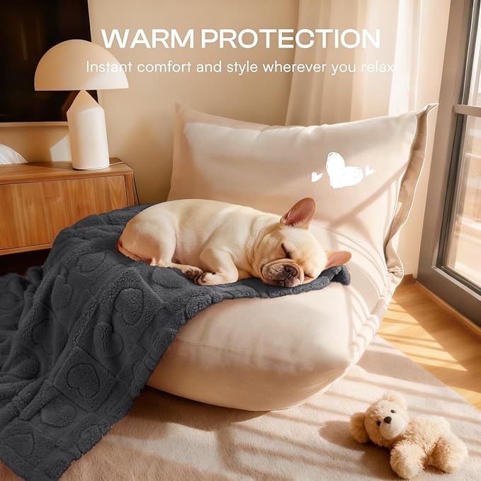 Luciphia 1 Pack 2 Small Dog Blanket Washable Pet Bed Cover Soft Fluffy Puppy Blanket with Premium Fleece 300GSM Cozy Calming Cat Blankets for Indoor Cats Grey/Beige 41x31 inch