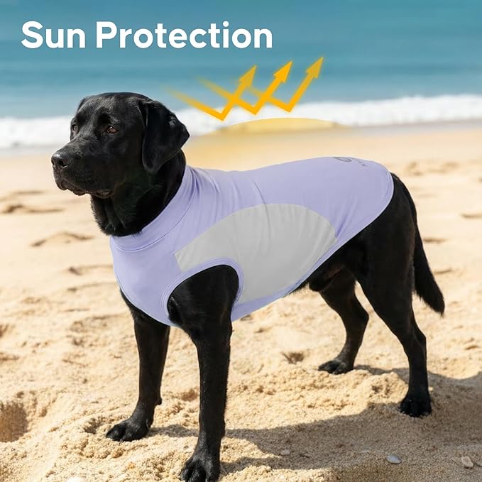 KYEESE 2Pack Dog Cooling Shirt, Breathable Dog Shirt for Medium Large Dogs Girl Boy, Sun Protection Reflective Pet Vest, Lightweight Soft Tank Top Sleeveless Summer Dogs Clothes, Purple, 2XL