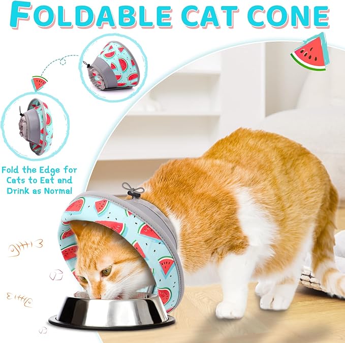 Cat Cone Collar Soft to Stop Licking, Adjustable, Foldable Lightweight Kitten Cones After Surgery Recovery for Cats & Kittens, Cat Cone Alternative, Easy Eating (Blue, M)