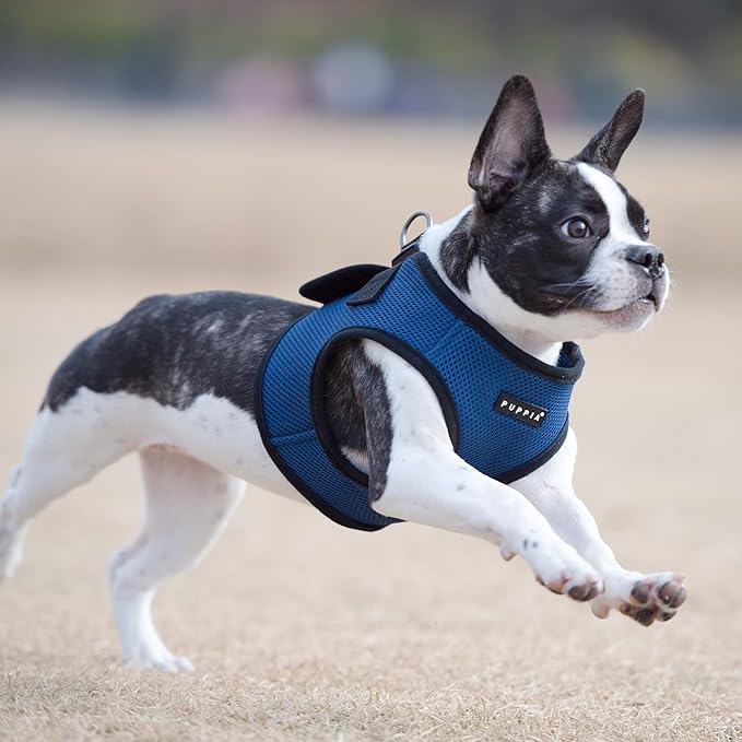 PUPPIA International PUAH305RB3L Soft Vest Harness, 3X-Large