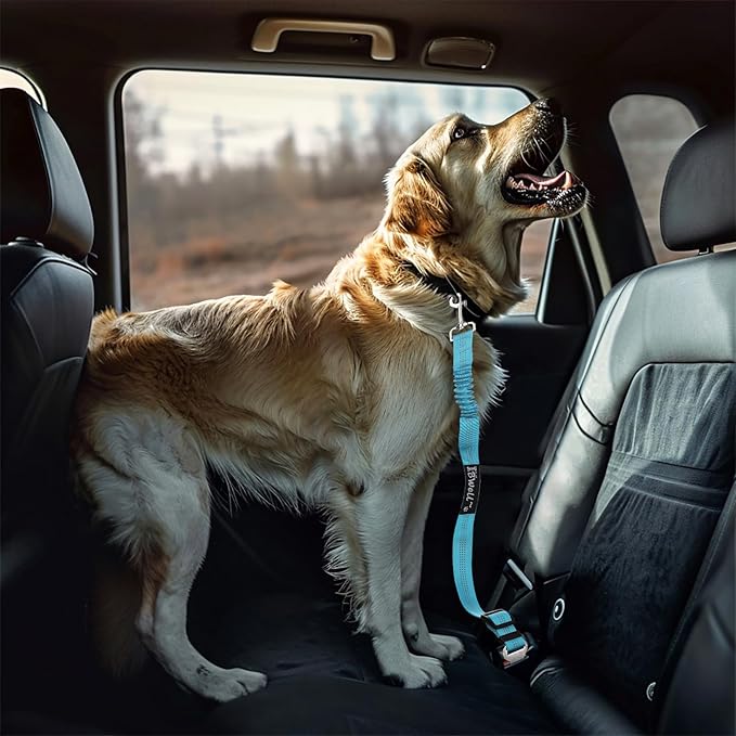 IBWell Dog Seat Belt for Car with Elastic Bungee Leash, Car Leash Car Seat Belt for Dogs (Light Pink, 2PCS-27.6")
