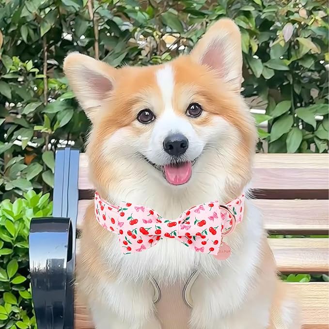 Spring and Summer Dog Collar with Bow Tie, Spring Cherry Bowtie Collar for Girl Boy Dog with Metal Buckle, Pink Bow Collar for Dogs, XL