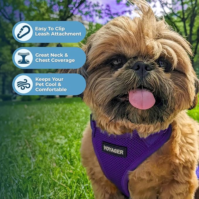 Best Pet Supplies Voyager Step-in Lock Pet Harness w Reflective Pet Leash Combo Set with Neoprene Handle 5ft - Supports Small, Medium and Large Breed Puppies/Cats - Purple, XS