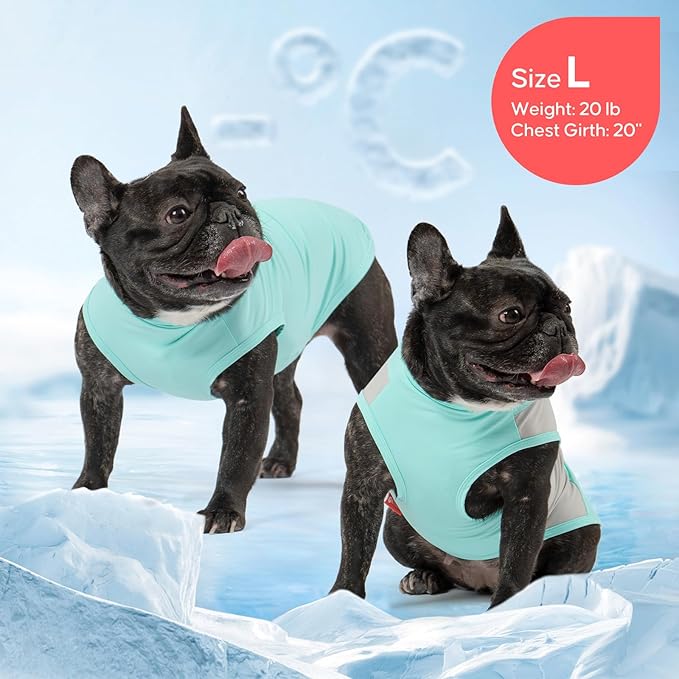 KYEESE 2Pack Dog Cooling Shirt, Breathable Dog Shirt for Small Dogs Boy, Sun Protection Reflective Pet Vest, Lightweight Soft Tank Top Sleeveless Summer Dogs Clothes, Blue, L