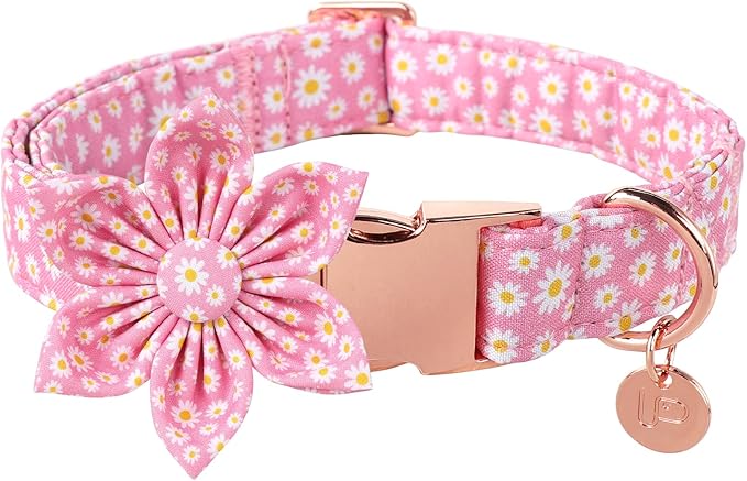 Summer Dog Collar with Pink Daisy Flower, Medium, Pink, Cotton, Buckle Closure
