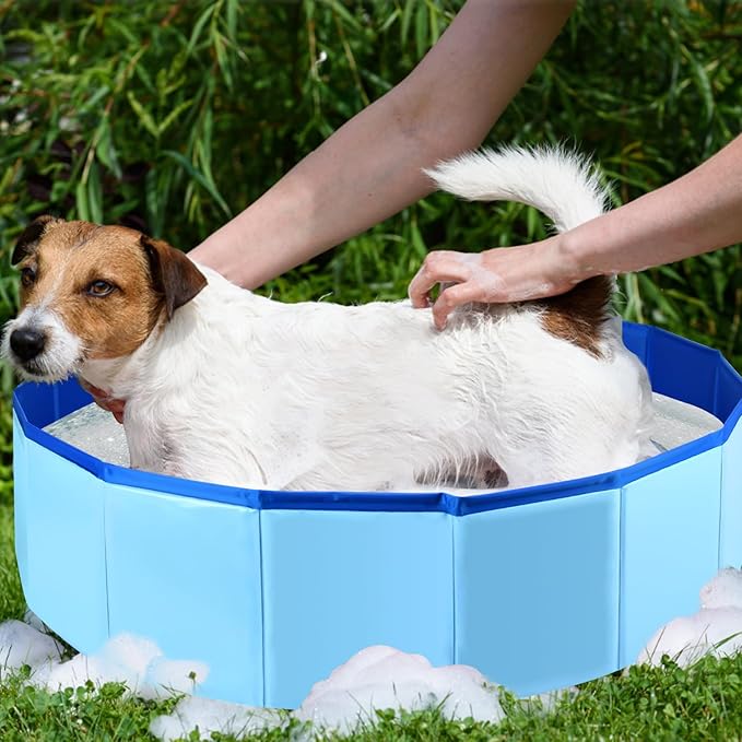 Enenes Foldable Dog Pool 24x8 Inch Portable PVC Pet Swimming Pool & Bath Tub with Drawstring Storage Bag Collapsible Ball Pit for Indoor/Outdoor Use, Puppy Bath Tub for Dogs, Cats, Puppies
