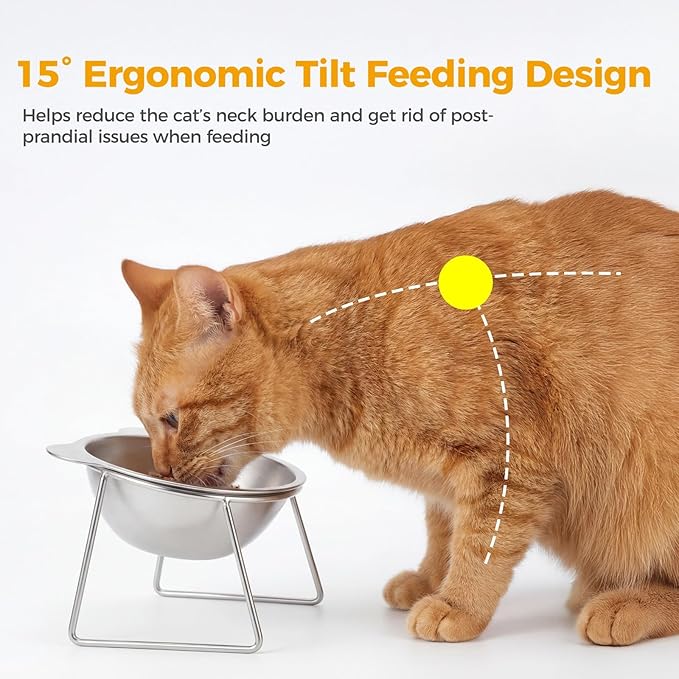 2 Pcs Elevated Cat Bowls, 304 Stainless Steel Tilted Food and Water Pet Feeder, 15° Neck Guard Design, Whisker Friendly, Non-Slip Base, 4.9 x 4.3 x 4.1 in for Small Cats, Dogs, Puppies