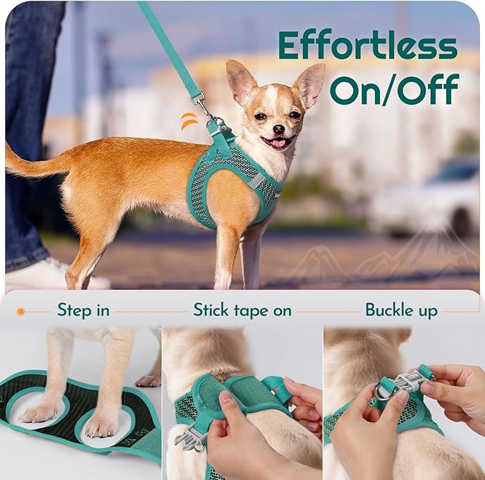 Eagloo Small Dog Harness and Leash Set, Step in Puppy Vest with Breathable Soft Mesh, Walking Reflective Pet Harness for Small Dogs, Forest Green, L