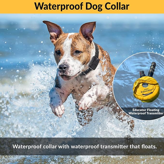 E-Collar ET-300 Mini Educator Remote Dog Training Collar – 1/2 Mile Waterproof, Premium Finger Clicker Trainer, 100 Stimulation Levels + Vibration + Light + Sound – 1 Dog Small to Medium, Yellow
