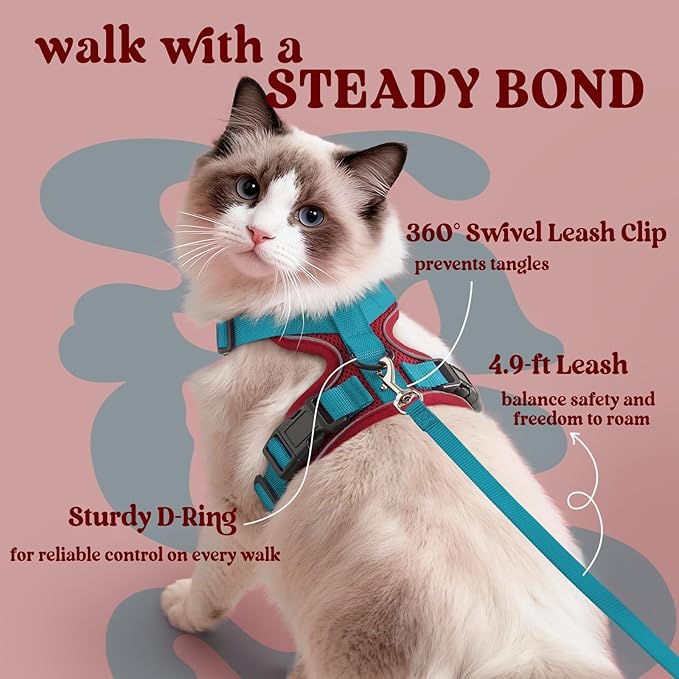 rabbitgoo Cat Harness and Leash Set, Escape Proof Vest Harness for Safe Outdoor Walks, Soft Breathable Adjustable Vest with Reflective Strips for Small and Average Cats, Red & Teal, S
