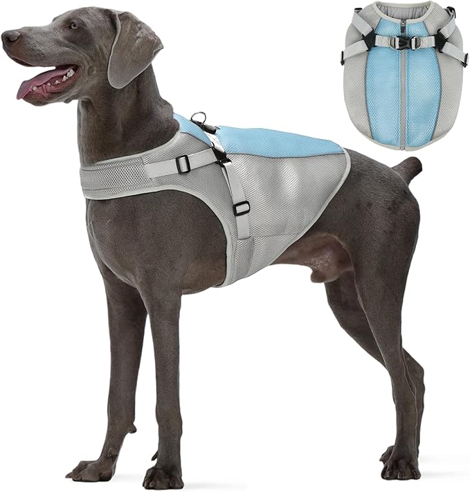 FUAMEY Dog Cooling Vest for Large Dogs Doggy Evaporative Cooling Jacket in Hot Weather Puppy Breathable Mesh Cooler Vest with Reflective Stripe Pet Summer Harness Shirt for Hiking Training Gray XL