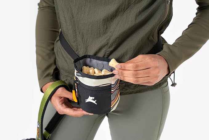 OllyDog Goodie Treat Bag, Dog Treat Pouch, Waist Belt Clip for Hands-Free Training, Magnetic Closure, Dog Training and Behavior Aids, Three Ways to Wear (Ventura '73)